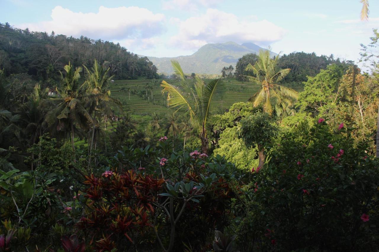 Pondok Lembah Dukuh Homestay Karangasem Buitenkant foto